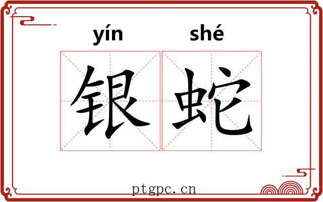 银蛇 银蛇