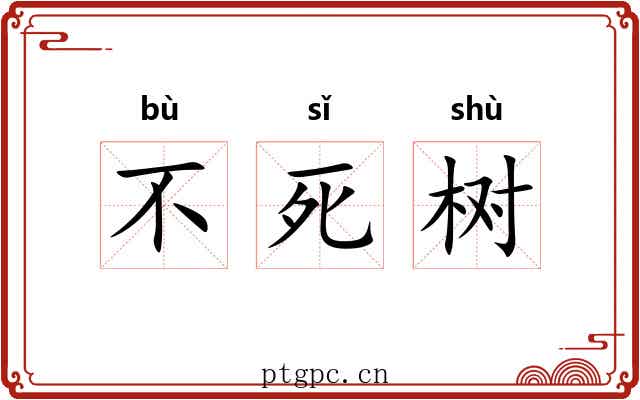 不死树 不死树