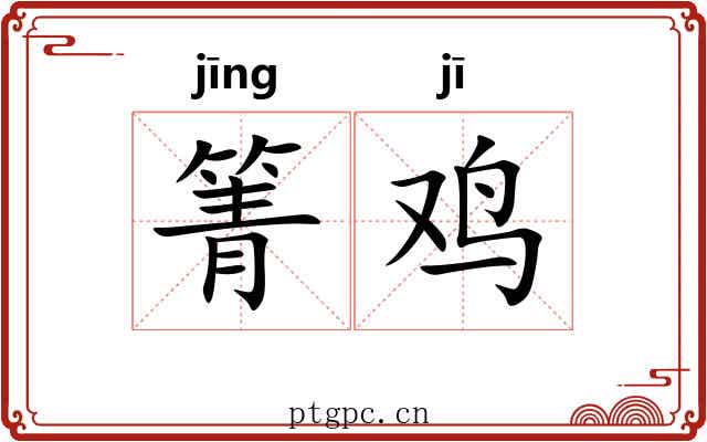 箐鸡