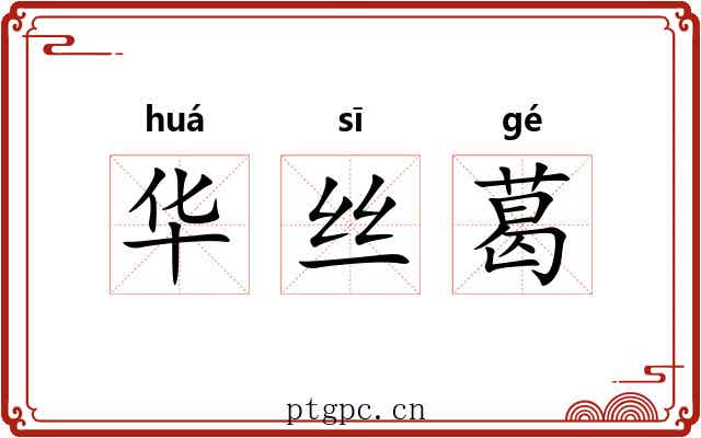 华丝葛 华丝葛
