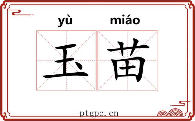 玉苗 玉苗