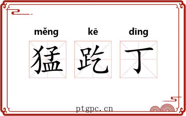 猛趷丁 猛趷丁