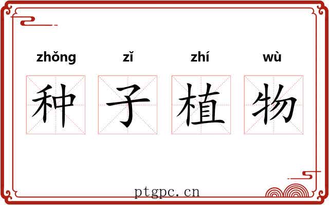 种子植物 种子植物