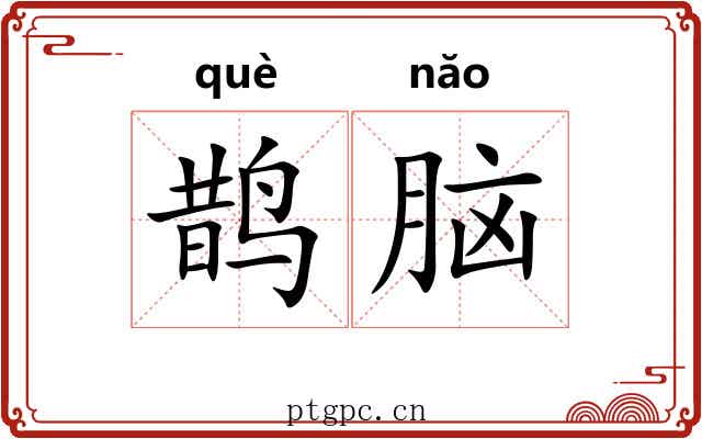 鹊脑