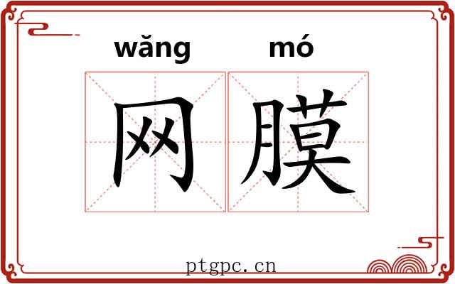 网膜