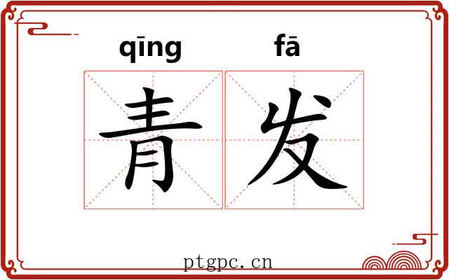 青发 青发