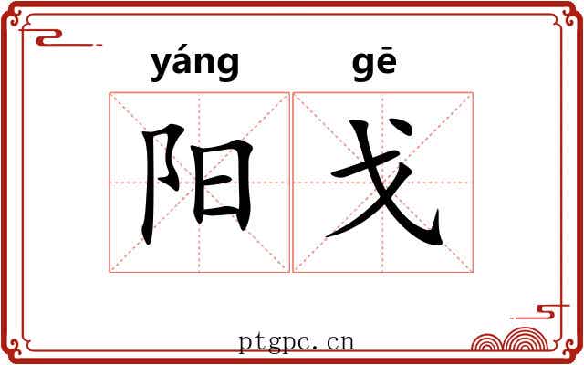 阳戈