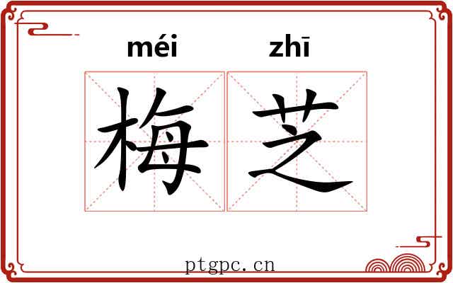 梅芝