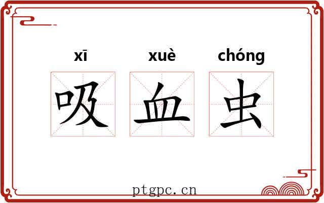 吸血虫 吸血虫