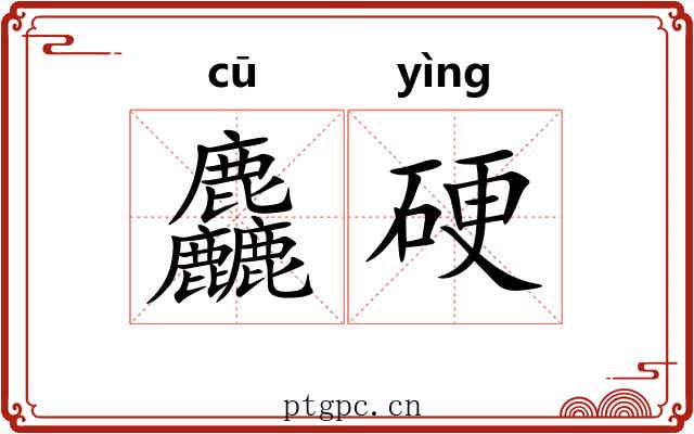 麤硬