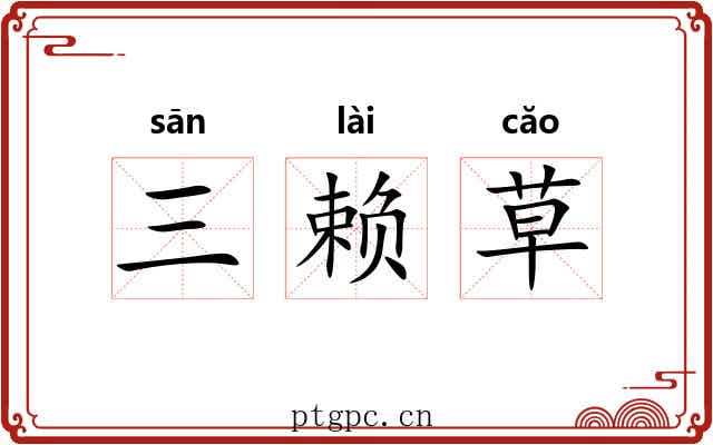 三赖草