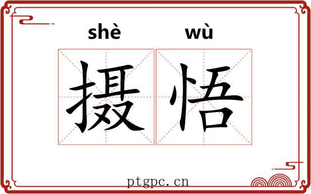 摄悟