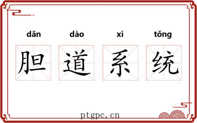 胆道系统 胆道系统