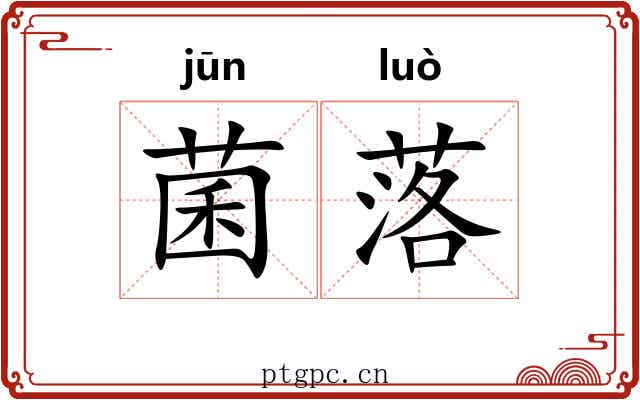 菌落 菌落