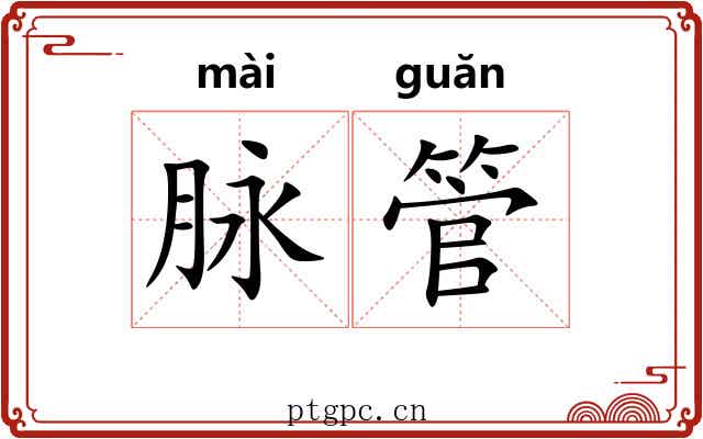 脉管 脉管