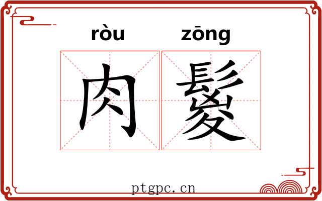 肉鬉