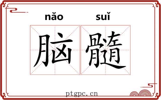 脑髓