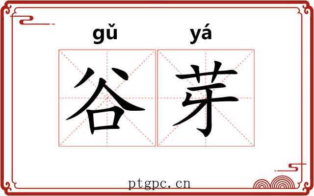 谷芽