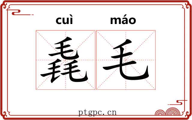 毳毛