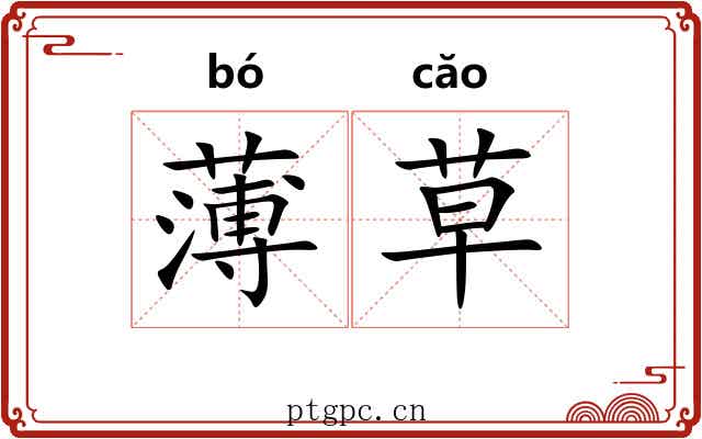 薄草