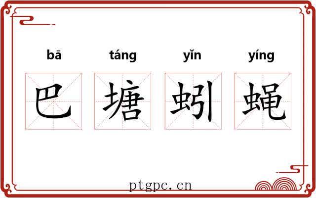 巴塘蚓蝇 巴塘蚓蝇