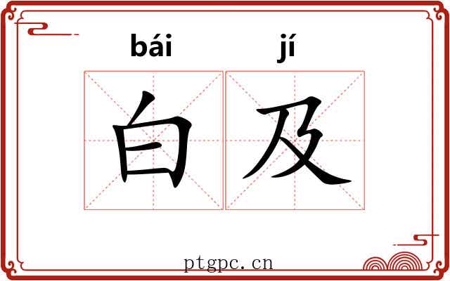 白及