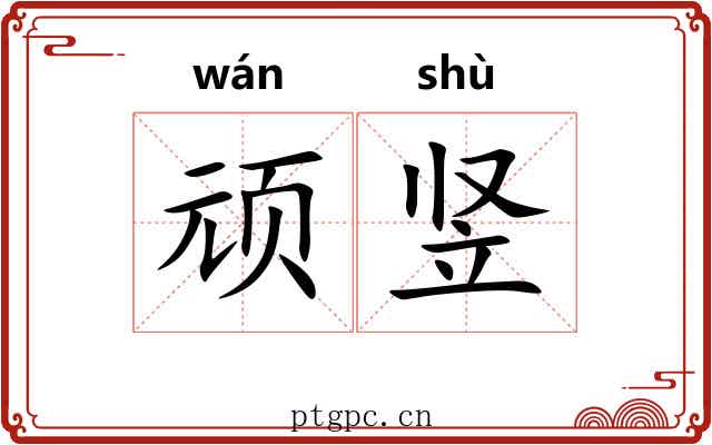 顽竖