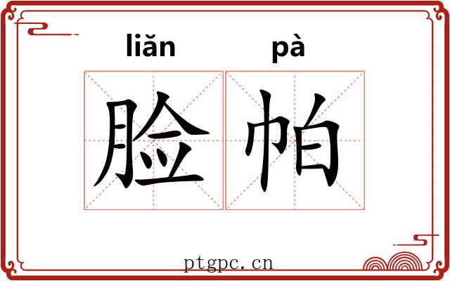 脸帕