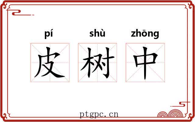 皮树中 皮树中