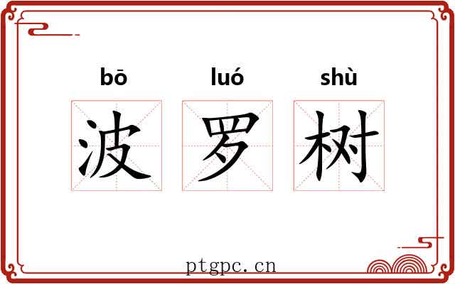 波罗树 波罗树