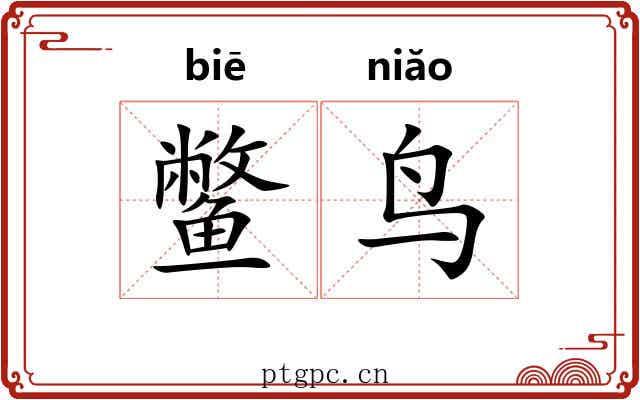 鳖鸟