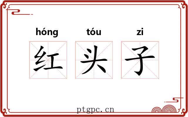 红头子 红头子