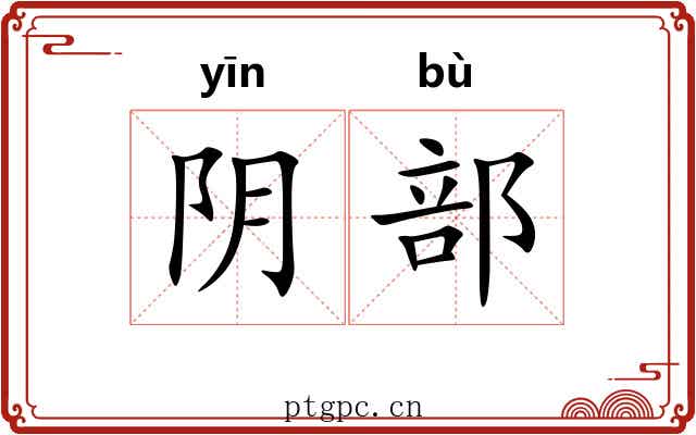阴部 阴部