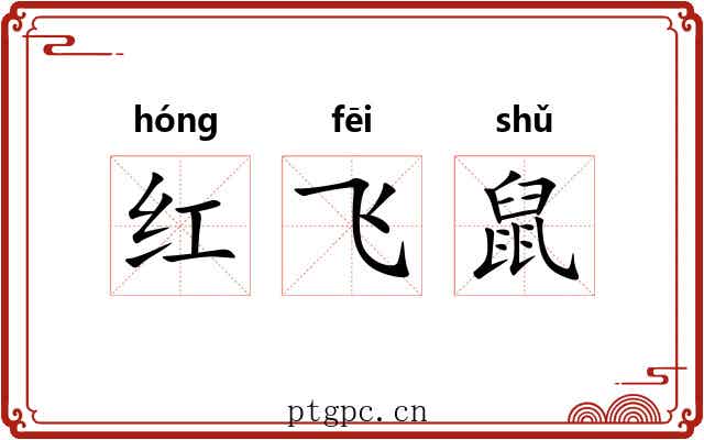 红飞鼠