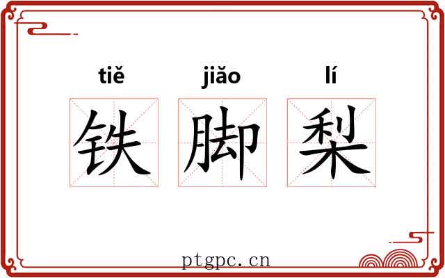 铁脚梨 铁脚梨
