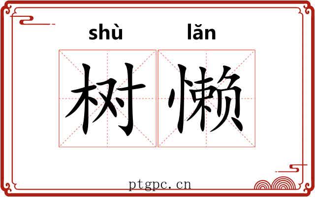树懒