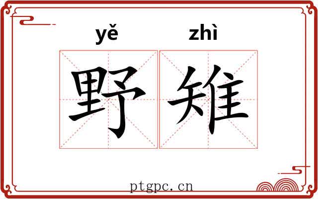 野雉 野雉