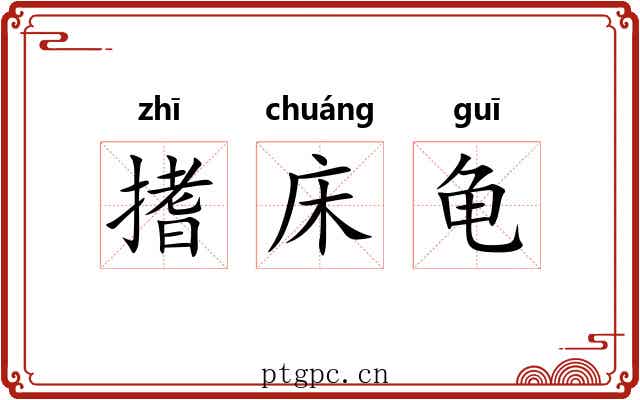 搘床龟 搘床龟