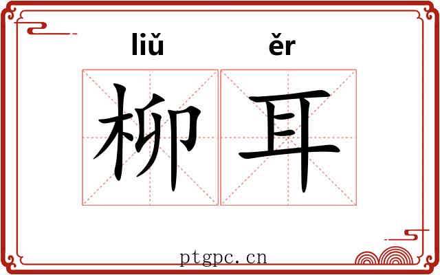 柳耳 柳耳