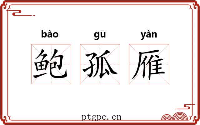 鲍孤雁 鲍孤雁