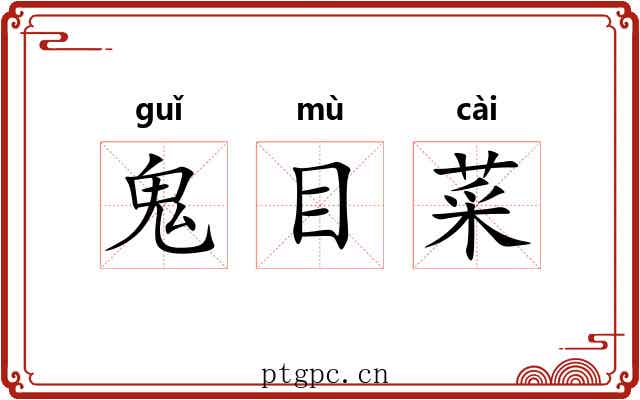 鬼目菜 鬼目菜