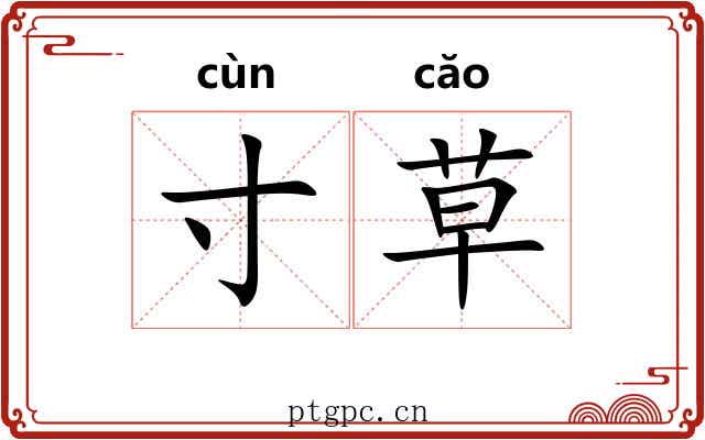 寸草 寸草