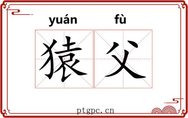 猿父