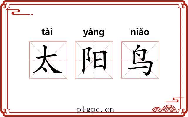 太阳鸟 太阳鸟