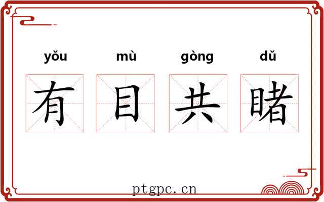 有目共睹 有目共睹