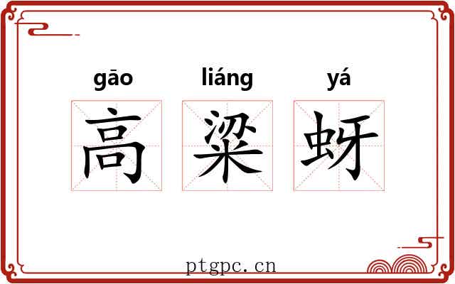 高粱蚜 高粱蚜