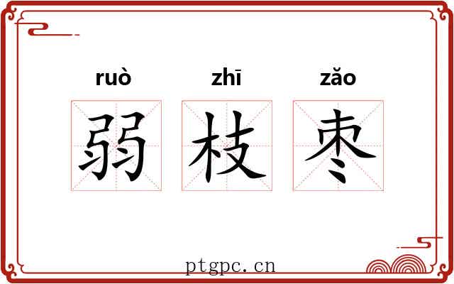 弱枝枣