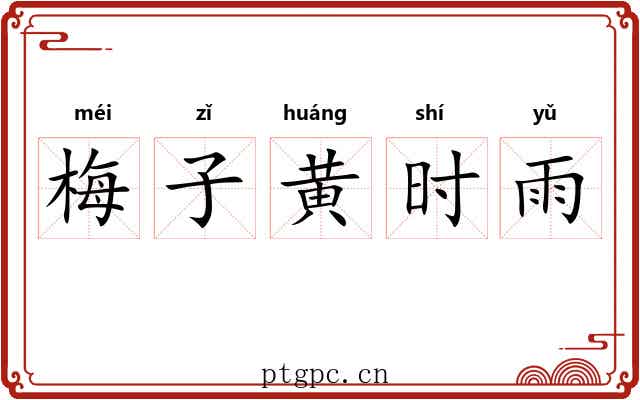 梅子黄时雨 梅子黄时雨