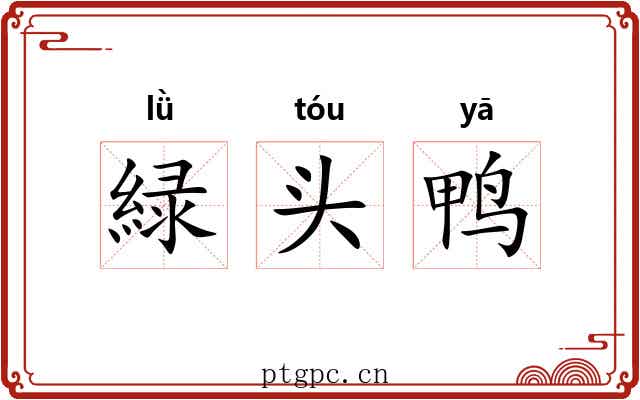 緑头鸭