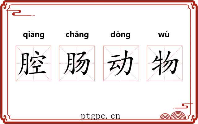 腔肠动物 腔肠动物